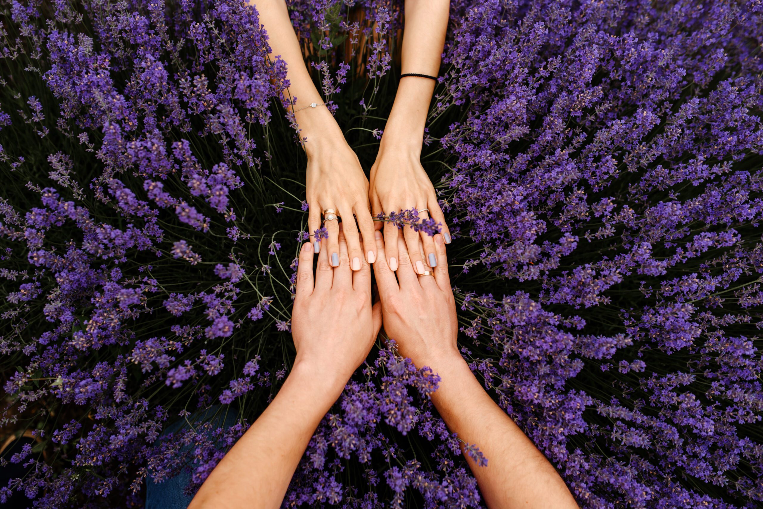 Romantic gesture in a lavender garden